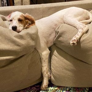 Meet your Posher, James